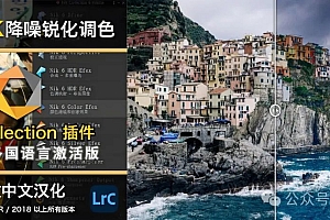 免费分享下载Nik插件滤镜套装DxO Nik Collection For Win V6.13.0中文破解版PS安装软件包LRC