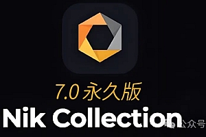 免费分享下载Nik Collection 7中文汉化破解版多国语言插件 by DxO 7.0.302.x64安装包教程PS大师网
