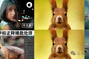 免费分享下载2025最新Mac版DxO PureRAW 3.9.0.33中文简体破解Ai智能增强清晰度降噪摄影师修图软件安装包