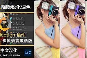 免费分享下载PS Lr滤镜插件套装Nik Collection DxO v8.1.101 for Win版摄影后期中文汉化激活图像安装包