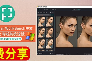 免费下载磨皮清晰美妆滤镜Perfectly Clear WorkBench v4.8.0.2853 win中文版安装包PS LrC插件