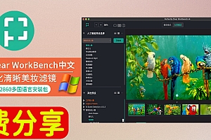 免费下载Perfectly Clear WorkBench v4.8.0.2860win中文汉化版软件安装包ai自动批量修图工具